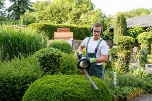 Gärtner eines Reinigungsunternehmens schneidet die Hecke
