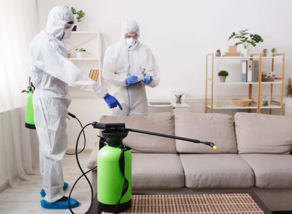 Zwei professionelle Reinigungskräfte desinfizieren ein Wohnzimmer